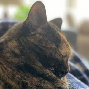 Meet your Posher, Max